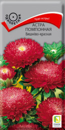 Астра помпонная Вишнево-красная 0,3гр ПЦц