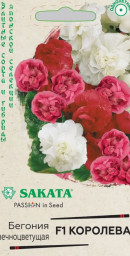 Бегония Королева F1 вечноцв махровая смесь гранул 4шт пробирка Гавриш