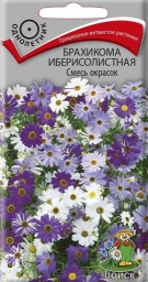 Брахикома иберисолистная Смесь окрасок 0,03гр Поиск