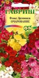 Флокс друммонда Очарование 0,05гр ГШцветы