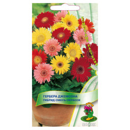 Гербера Джемсона гибрид Смесь окрасок Поиск