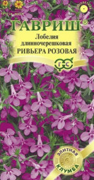 Лобелия Ривьера Розовая 4шт пробирка сер Элитная клумба Гавриш