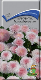 Маргаритка Тассо стробери энд крим Поиск