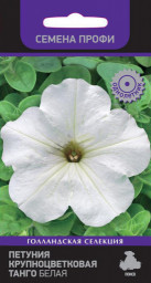 Петуния Танго Белая крупноцветковая 15шт ПЦцп