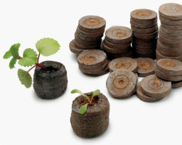 Таблетка торфяная JIFFY-7 24мм